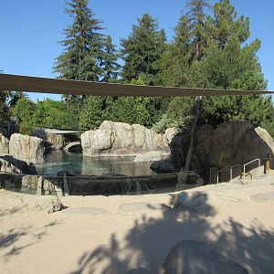 Sea Lion Cove