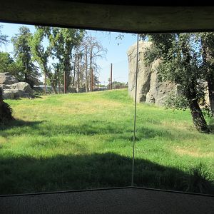 African Adventure - Lion Exhibit View (from classroom/rental space)