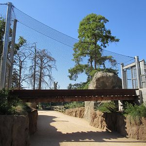 African Adventure - Lion Bridge