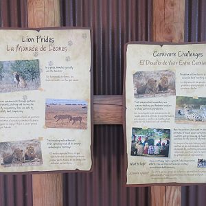 African Adventure - Lion Exhibit Signs