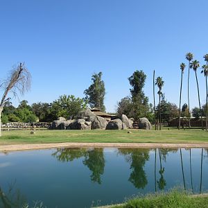 African Adventure - African Elephant  Exhibit
