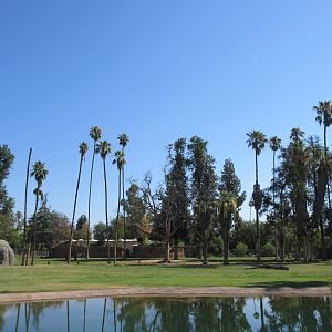 African Adventure - African Elephant  Exhibit