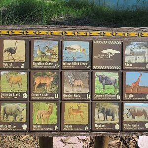 African Adventure - Species List Sign