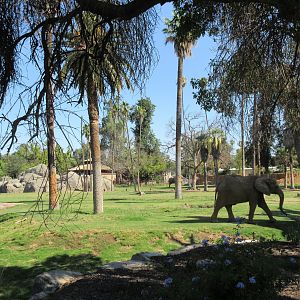 African Adventure - African Elephant  Exhibit