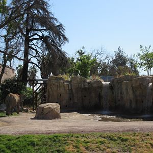 African Adventure - African Elephant  Exhibit