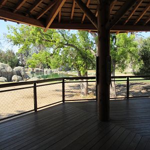 African Adventure - Giraffe Feeding Platform
