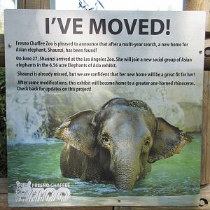 Asian Elephant Sign