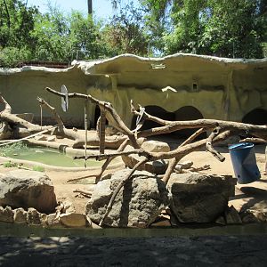 Sloth Bear Exhibit (to be demolished in the next couple of years)