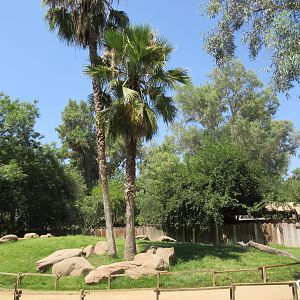 Australian Walkabout (New in September 2016)