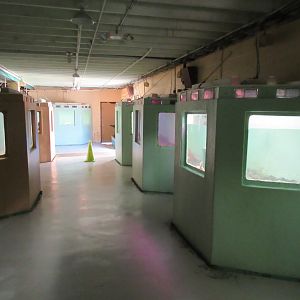 Morro Bay Aquarium Interior