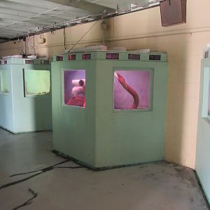 Morro Bay Aquarium Interior