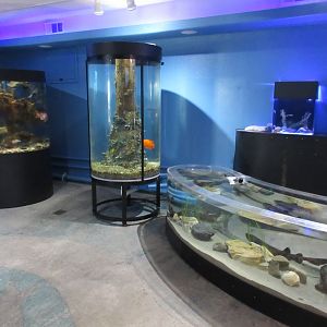 Aquarium Interior (only a two-room facility)