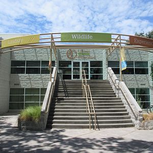 Entrance (animals are all on the second floor)