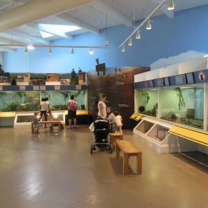 Small Animal Exhibits + Birds of Prey