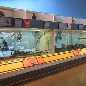 Small Animal Exhibits + Birds of Prey