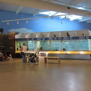 Small Animal Exhibits + Birds of Prey