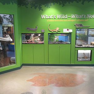 Small Animal Exhibits