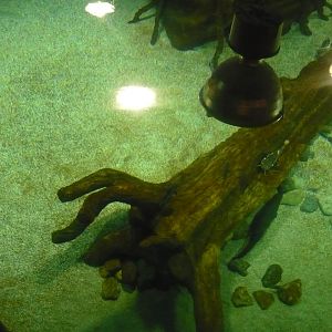 Large freshwater tank from above