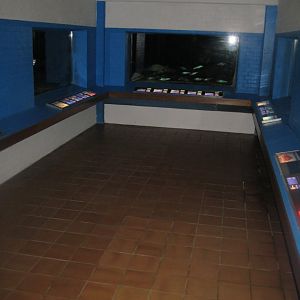 Fiskeriets Hus - General view of aquarium part