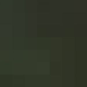 Baby Spectacled Bear