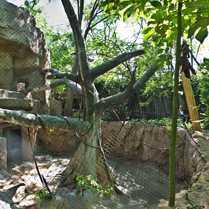 Jul. 2017 - Gorilla World - Colobus Panorama