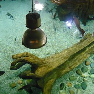 Large freshwater tank from above