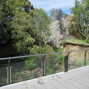 Outback - Tasmanian Devil Exhibit