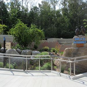 Africa Rocks - African Penguin/Leopard Shark Exhibit