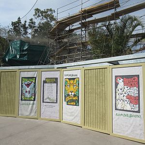 Africa Rocks - Construction