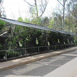Row of Aviaries (8 aviaries near Northern Frontier)