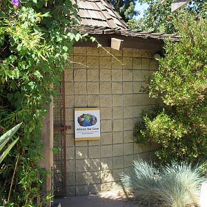 African Bat Cave