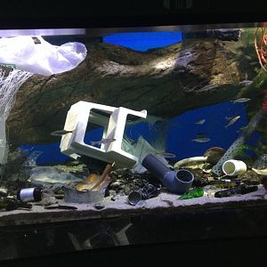 Small Russian river tank