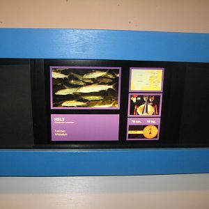 Fiskeriets Hus - Signage example