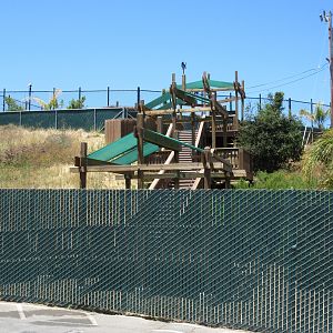 New Developments (lions, tigers and bears!)