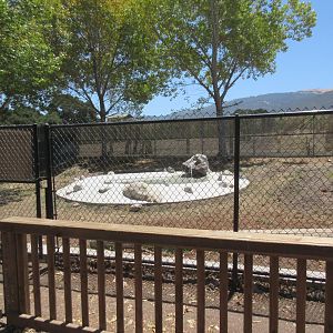Warthog Exhibit (New in 2017)