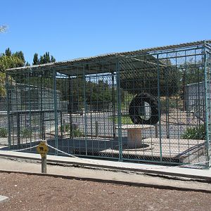 Old American Black Bear Exhibit (soon to be demolished)