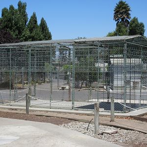Old American Black Bear Exhibit (soon to be demolished)