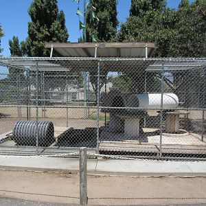 Black Leopard Exhibit