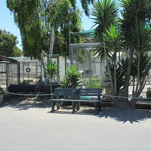Hamadryas Baboon Exhibit + Empty Cages