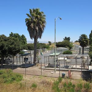 The Older Section of the Zoo