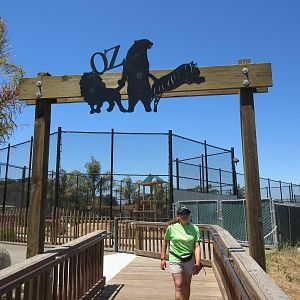 The New Zoo (2015-17) + Tour Guide