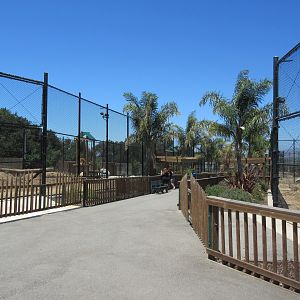 African Lion + Tiger Exhibits (New in 2015 + 2016)