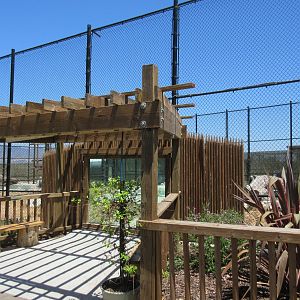 Tiger Exhibit #1 (New in 2015)