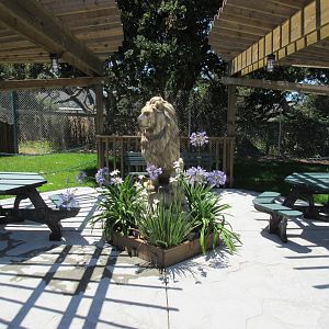 Picnic Area + Lion Statue (New in 2017)