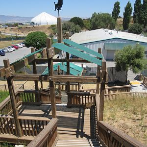 Lion/Tiger/Bear Exit Stairs (New in 2017)