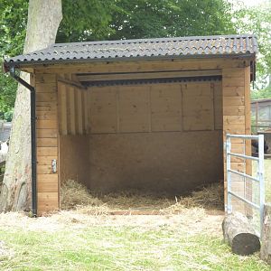 New shelter in central paddock, 10th July 2017