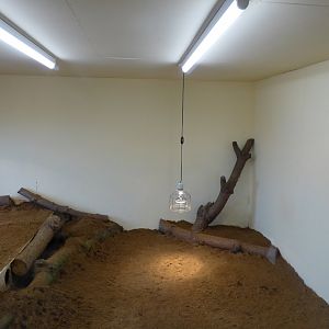 Interior accommodation of Meerkat exhibit, 21st May 2017