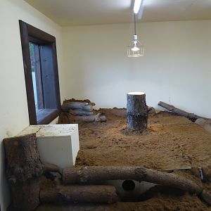 Interior accommodation of Meerkat exhibit, 21st May 2017