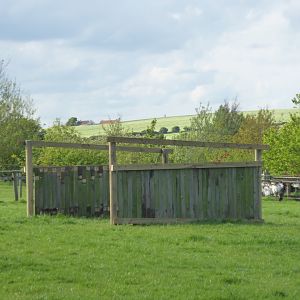 Progress on new shelter in Alpaca and Rhea paddock, 21st May 2017