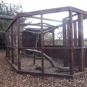 Completed Chipmunk exhibit, 21st May 2017